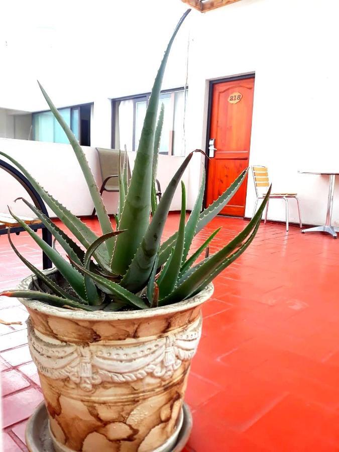 Hotel Las Palmas Арика Екстериор снимка